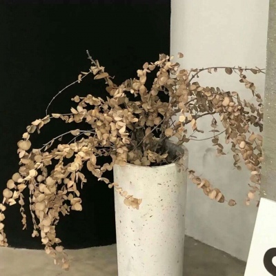 Furry绘画原创技巧兽圈群